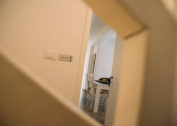 The Lighthouse 特拉佩托